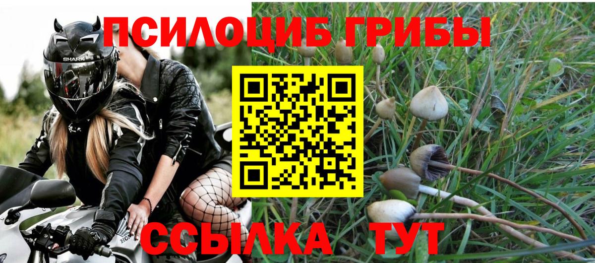 Галлюциногенные грибы прущие грибы Миллерово