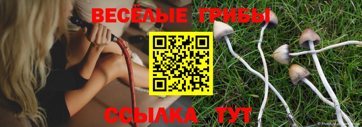 Миллерово  Галлюциногенные грибы MAGIC MUSHROOMS  Вход с VPN 